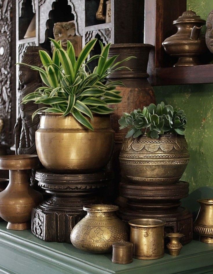 Collection of traditional brass vessels and planters with lush green indoor plants, displayed against carved wooden panels and a rustic green wall, showcasing Kerala’s timeless craftsmanship and earthy elegance.